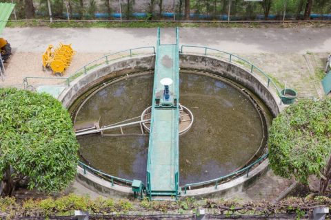 Part of the left bank of the Danube in Serbia under maintenance reconstruction